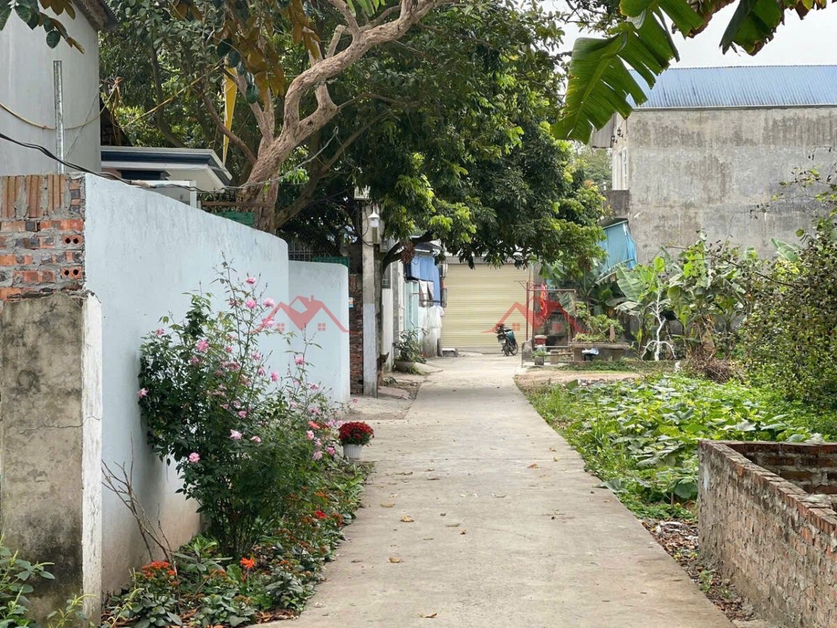 CHINHS CHỦ BÁN LÔ ĐẤT 54,9M TẠI PHỤNG CHÂU-CHƯƠNG MỸ-HÀ NỘI - Ảnh 3