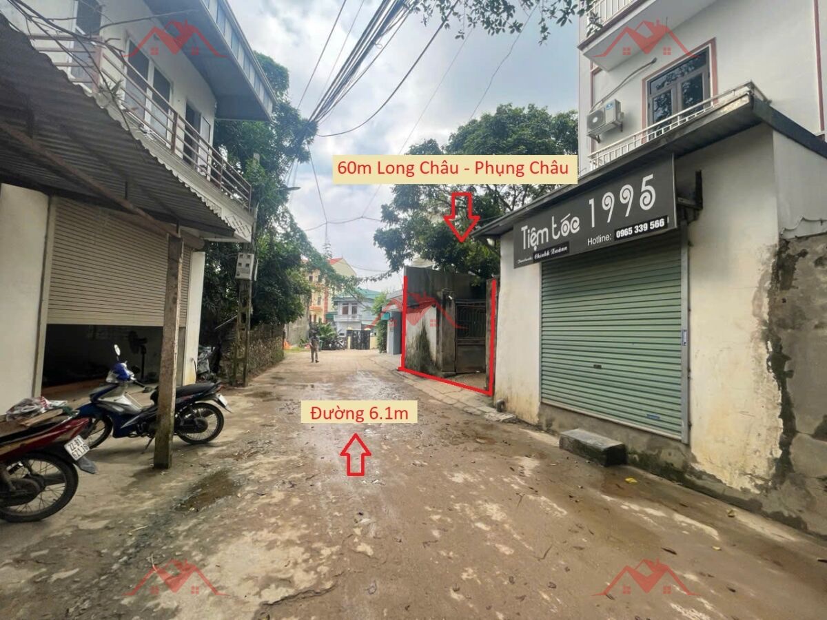 CHÍNH CHỦ BÁN LÔ ĐẤT 60M TẠI PHỤNG CHÂU-CHƯƠNG MỸ-HÀ NỘI - Ảnh chính