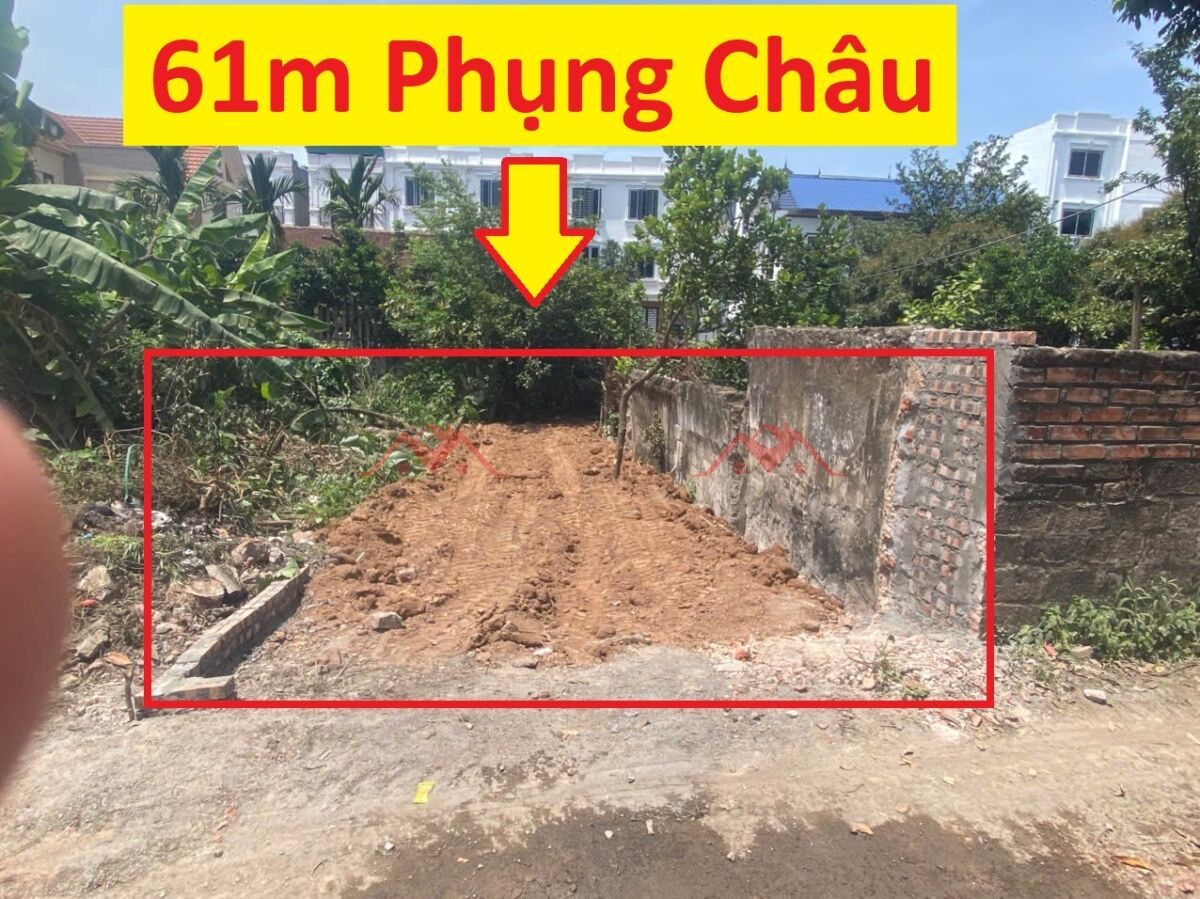 CHÍNH CHỦ BÁN LÔ ĐẤT 61M TẠI PHỤNG CHÂU-CHƯƠNG MỸ-HÀ NỘI - Ảnh chính