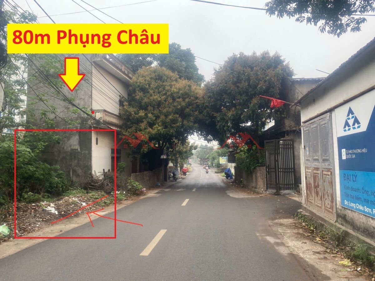 CHÍNH CHỦ BÁN LÔ ĐẤT 80M PHỤNG CHÂU-CHƯƠNG MỸ-HÀ NỘI - Ảnh chính