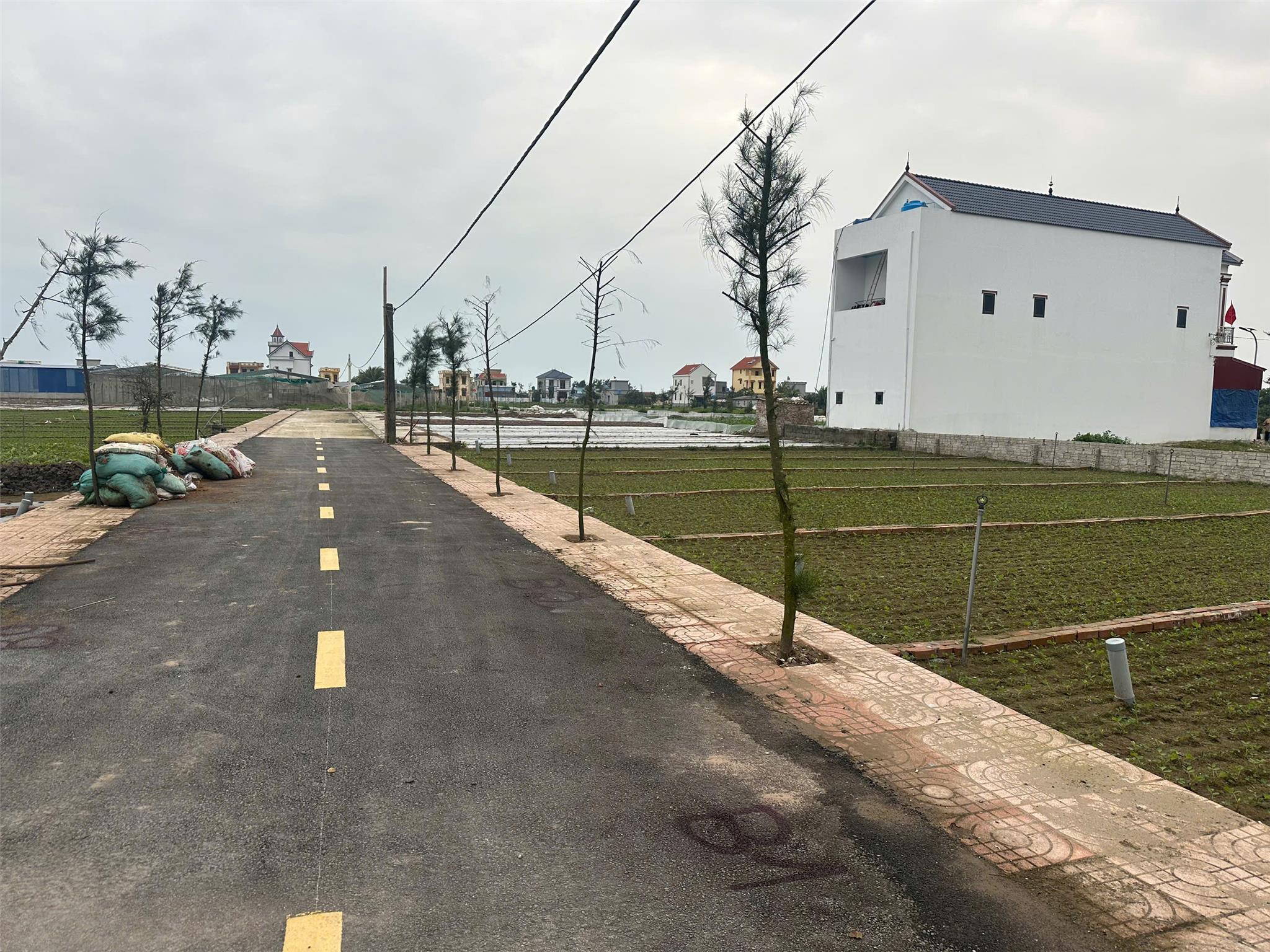 Chính chủ bán đất nền ven biển Quất Lâm - Ảnh 3