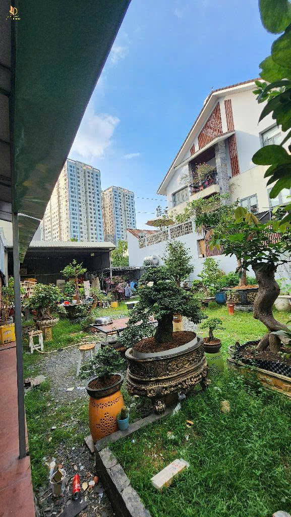 Bán Nhà Quận 2 Nguyễn Duy Trinh 220M2 57Tỷ Bình Trưng Đông - Ảnh 3