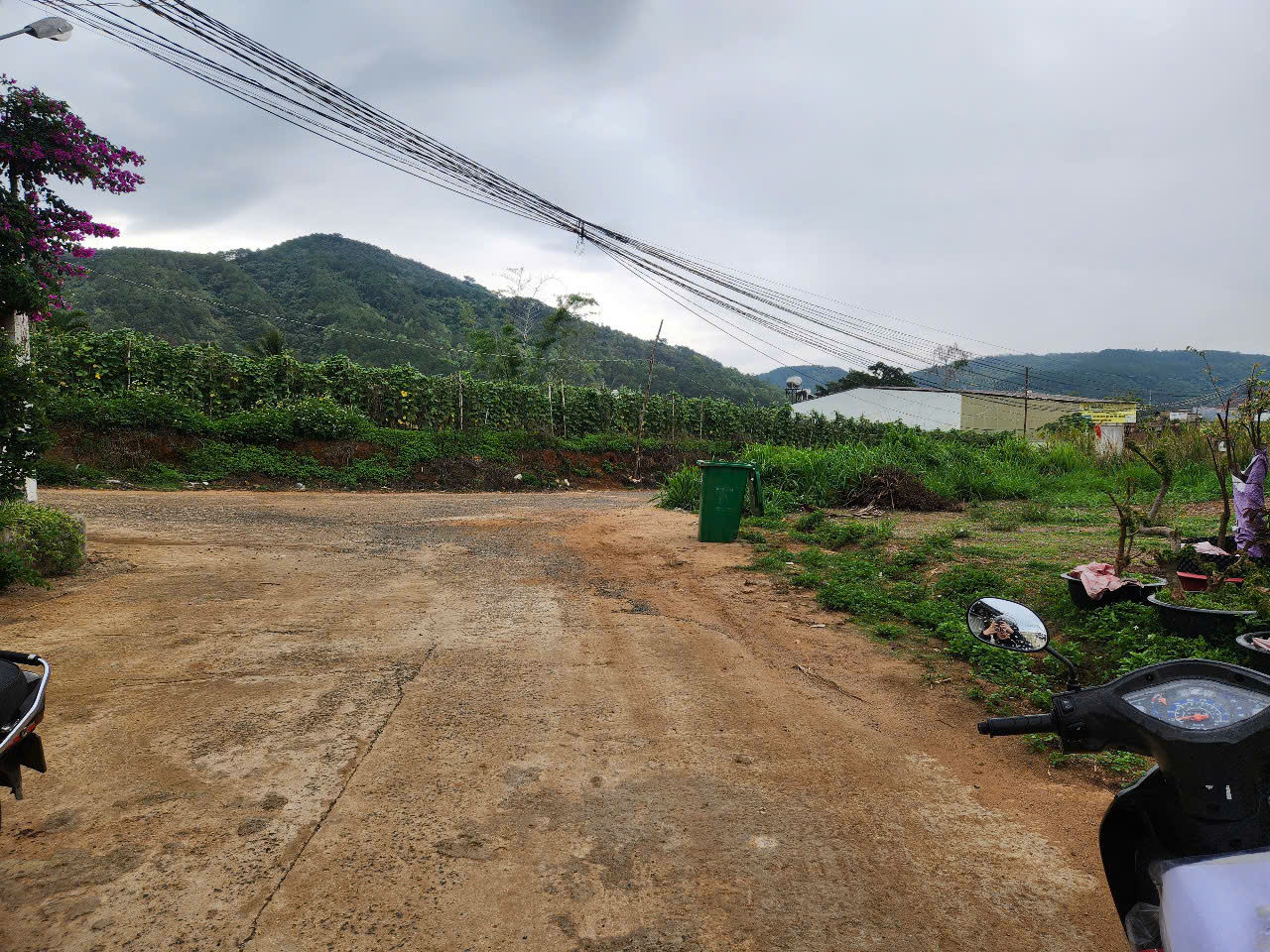 CẦN BÁN LÔ ĐẤT THỊ TRẤN LIÊN NGHĨA ĐỨC TRỌNG LÂM ĐỒNG giá chỉ 1.2 tỷ - Ảnh 3