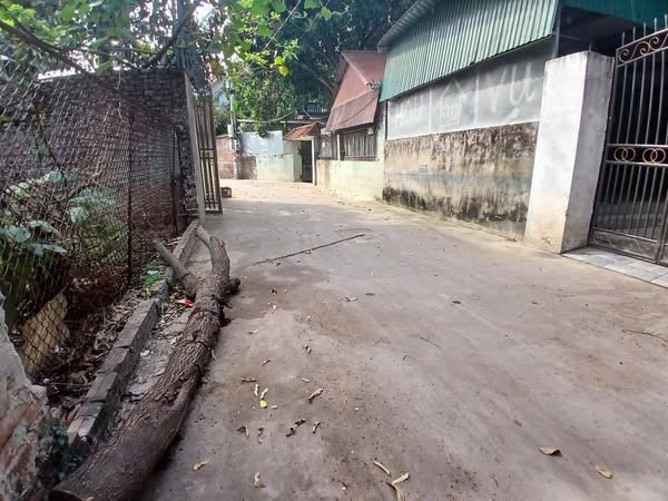 ĐẤT ĐẸP - GIÁ TỐT - Vị Trí Đắc Địa Tại Đường Võ Văn Kiệt, Huyện Mê Linh, Thành phố Hà Nội - Ảnh 2