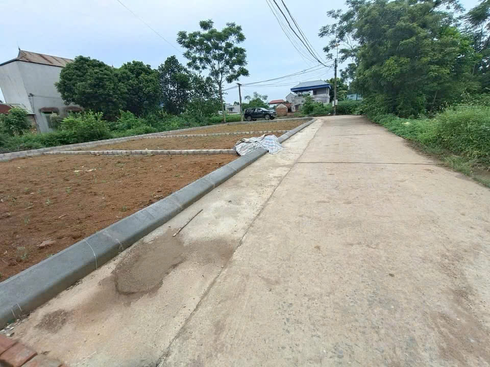 Mình chính chủ cần bán nhanh lô đất trục chính Đồi Sen sang Tân Xã - Ảnh 1
