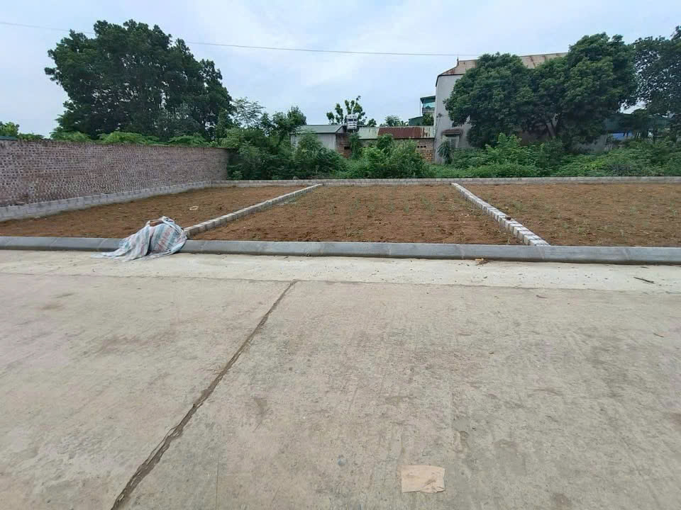 Mình chính chủ cần bán nhanh lô đất trục chính Đồi Sen sang Tân Xã - Ảnh 3