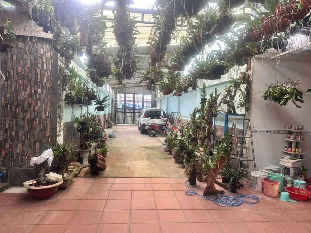 BÁN ĐẤT TẶNG XƯỞNG FULL THỔ (12x30) MT ĐƯỜNG TÂN XUÂN 2, HÓC MÔN 29TR/M² - Ảnh chính