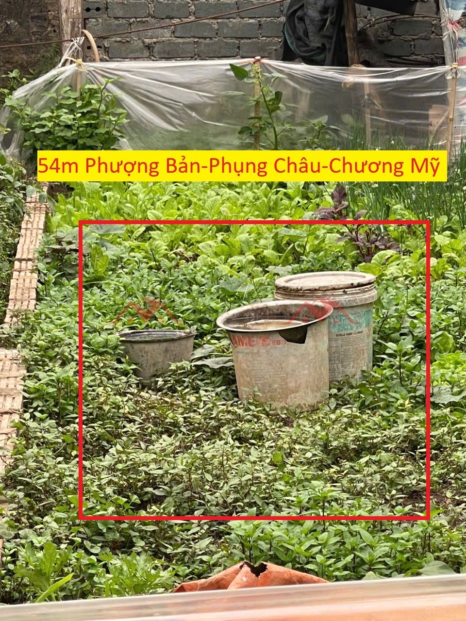 CHÍNH CHỦ BÁN LÔ ĐẤT 54M TẠI PHỤNG CHÂU-CHƯƠNG MỸ-HÀ NỘI - Ảnh chính