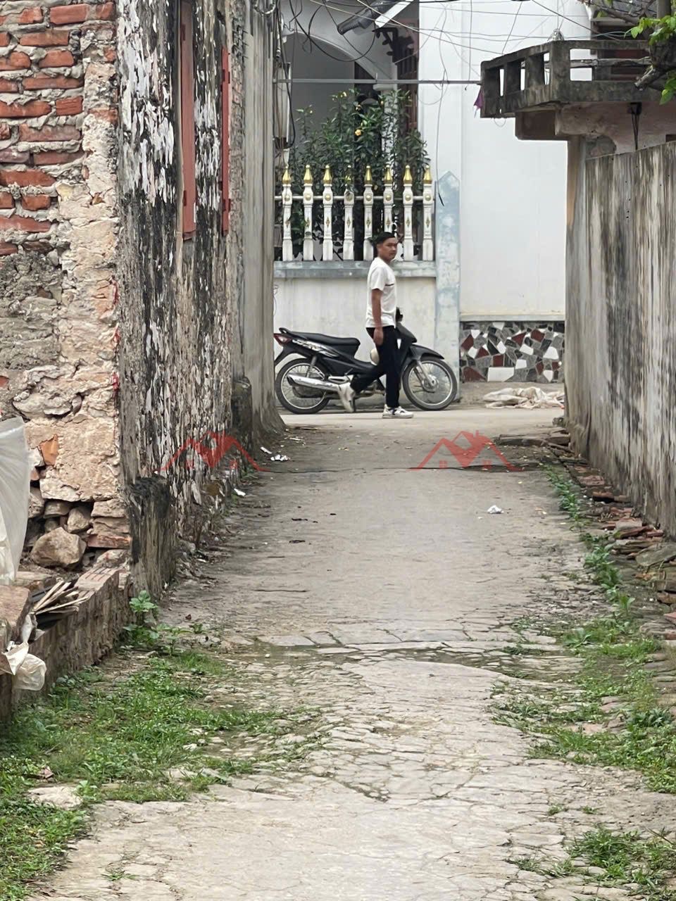 CHÍNH CHỦ BÁN LÔ ĐẤT 54M TẠI PHỤNG CHÂU-CHƯƠNG MỸ-HÀ NỘI - Ảnh 2