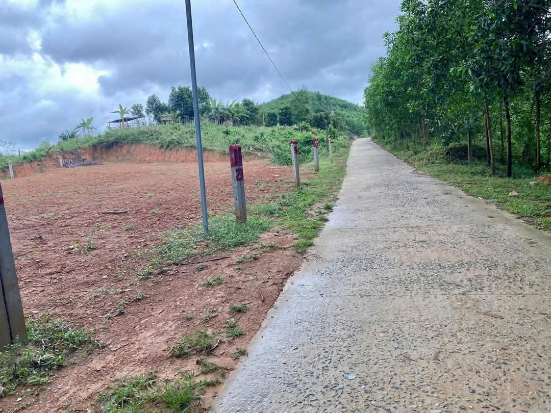 BÁN LOCK 5 LÔ KHÁNH ĐÔNG, KHÁNH VĨNH, KHÁNH HÒA FULL THỔ DÂN ĐÔNG 2 ĐẦU, ĐƯỜNG Ô TÔ TẬN ĐẤT - Ảnh 1