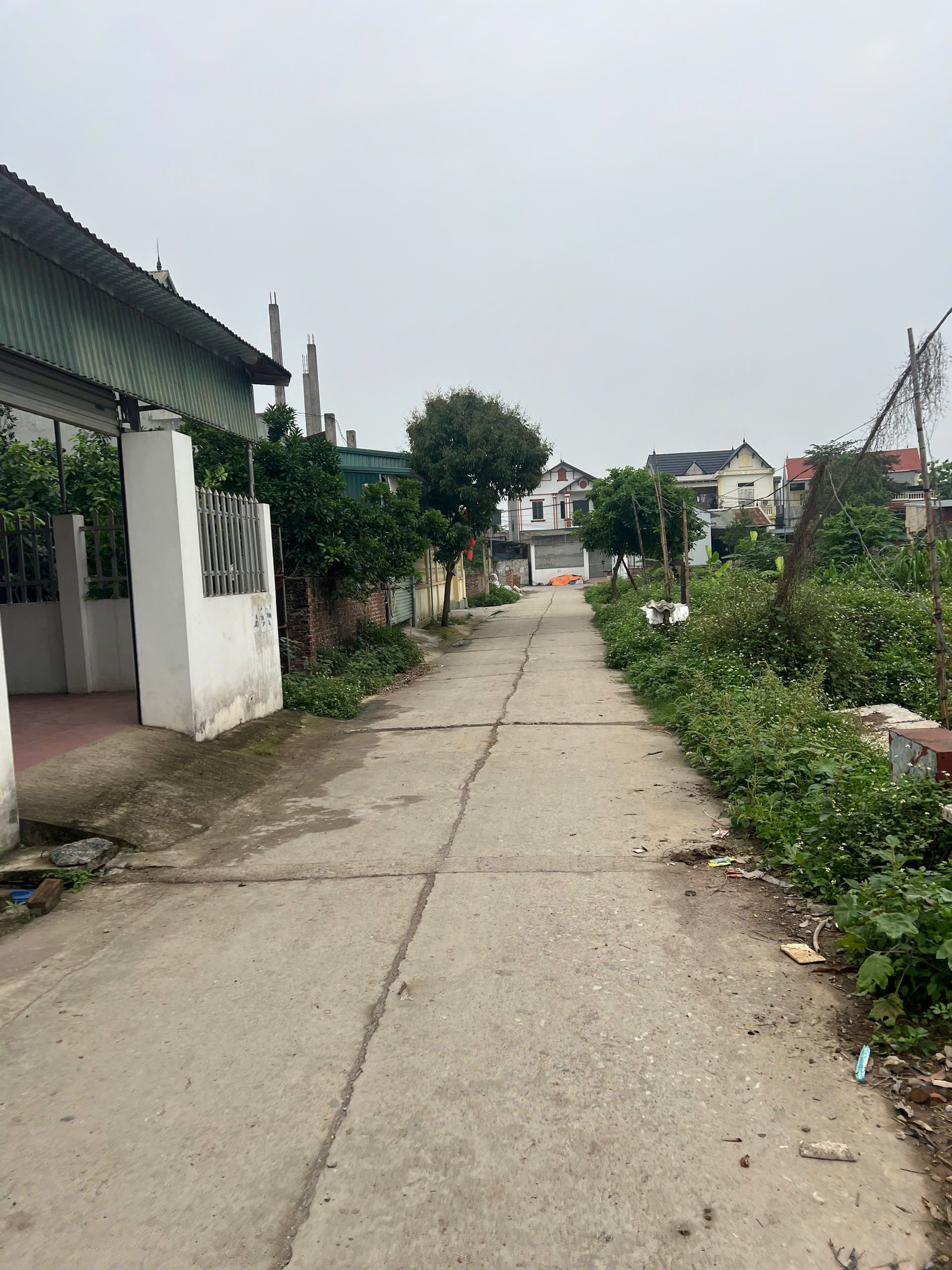 CC cần bán lô đất 90m lô góc tại phú nghĩa chương mỹ hà nội - Ảnh 1