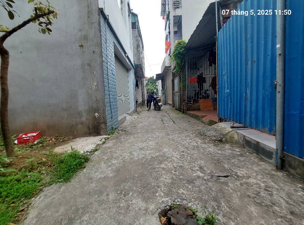 Đất Quang Minh, 61m2, m10m, 2.7 tỷ, ô tô nhỏ, Mê Linh. - Ảnh 2