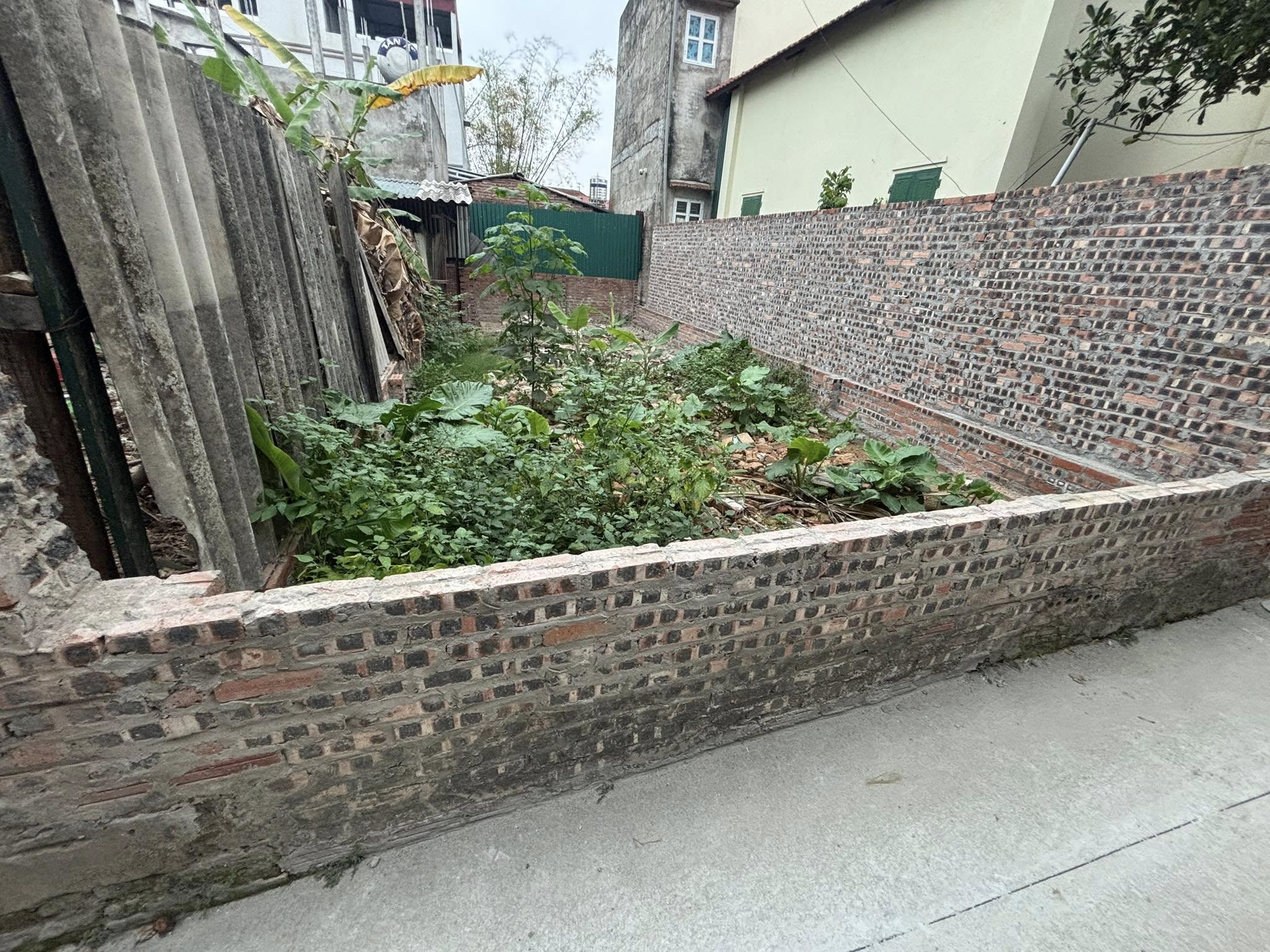 + Bán đất 67,1m², Cán Khê - Nguyên Khê - Đông Anh. - Ảnh chính
