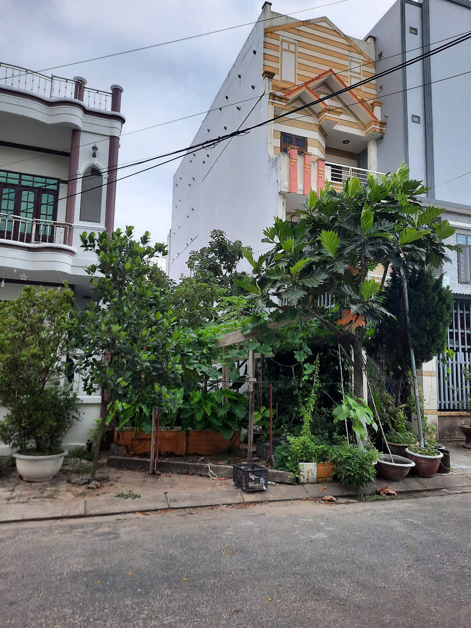 Chính chủ cần bán gấp - lô đất ven biển Tân Trà - Ngũ Hành Sơn, Đà Nẵng - 115m² - giá tốt! - Ảnh chính
