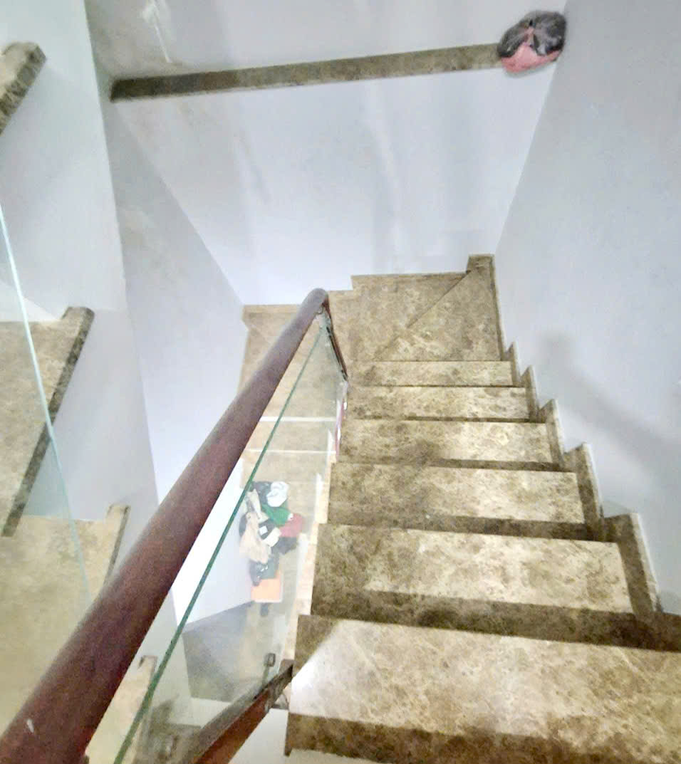 Chủ muốn bán nhà 4 tầng hẻm Lạc Long Quân, P10, 3.9x11, 6.9 tỷ - Ảnh 2