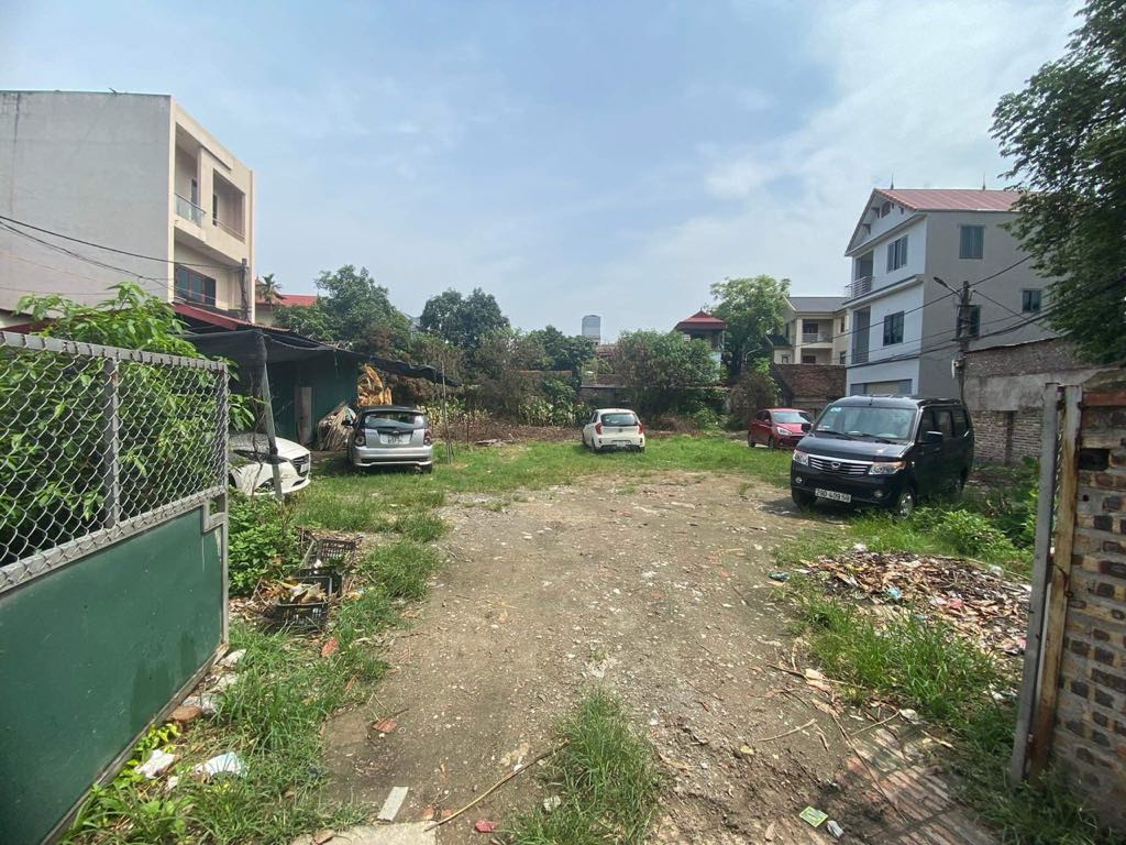 bán 700m đất trồng cây lâu năm tại Cổ Loa - Đông Anh - Hà Nội - Ảnh 2
