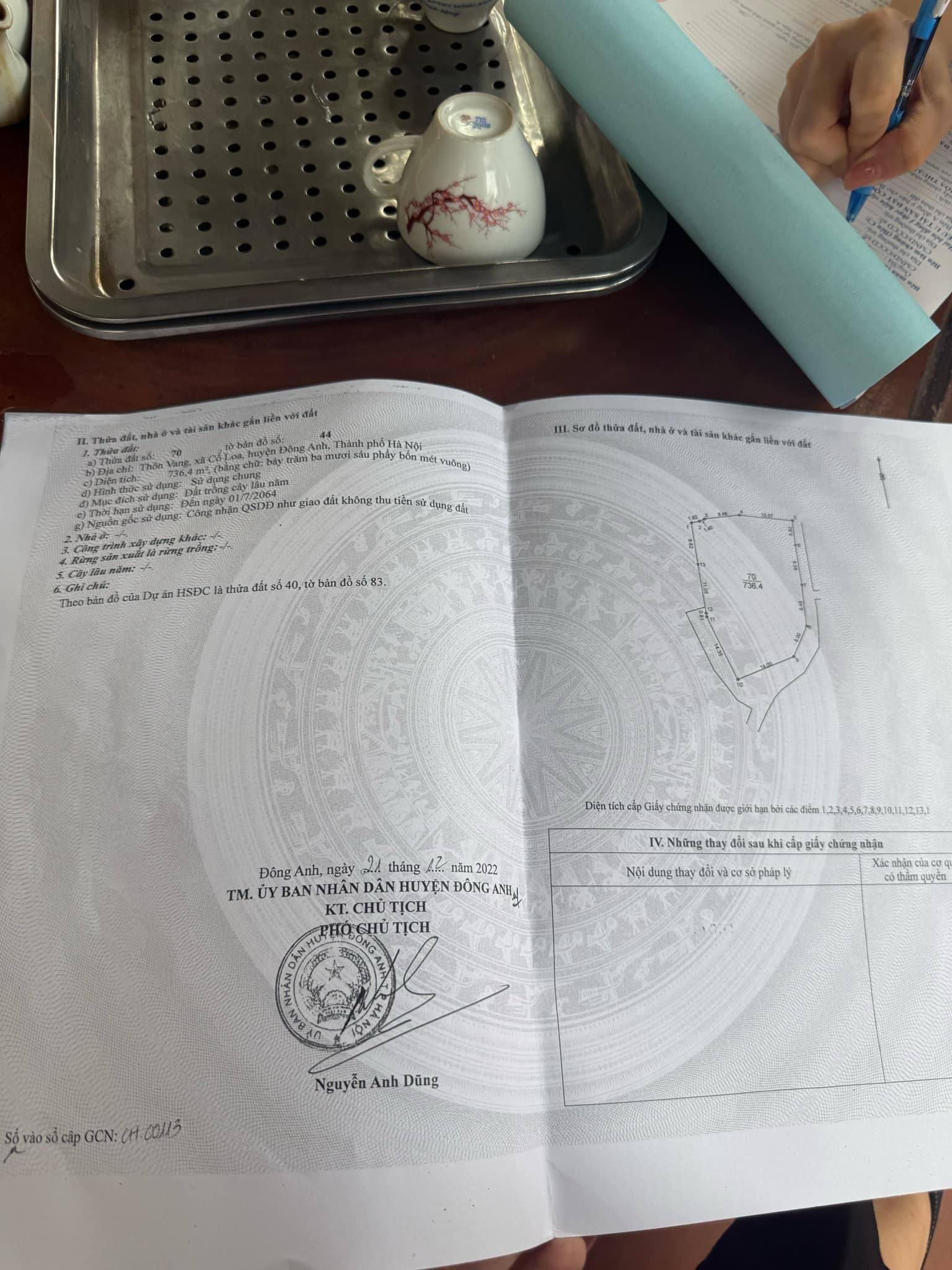 bán 700m đất trồng cây lâu năm tại Cổ Loa - Đông Anh - Hà Nội - Ảnh 3