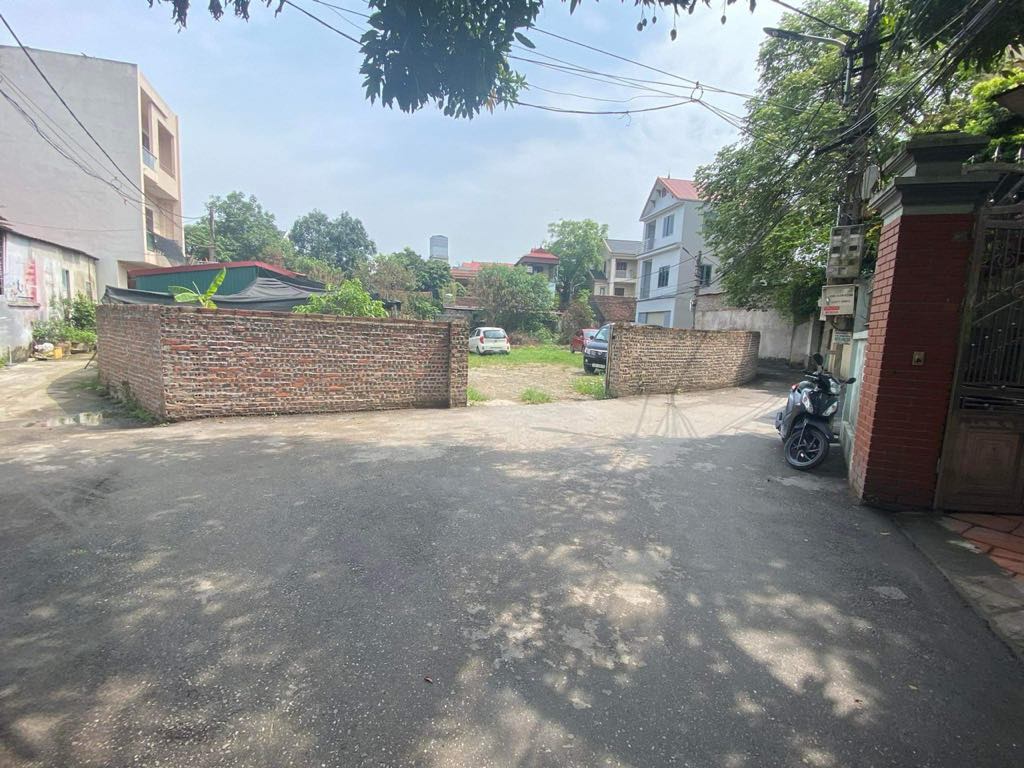 bán 700m đất trồng cây lâu năm tại Cổ Loa - Đông Anh - Hà Nội - Ảnh chính