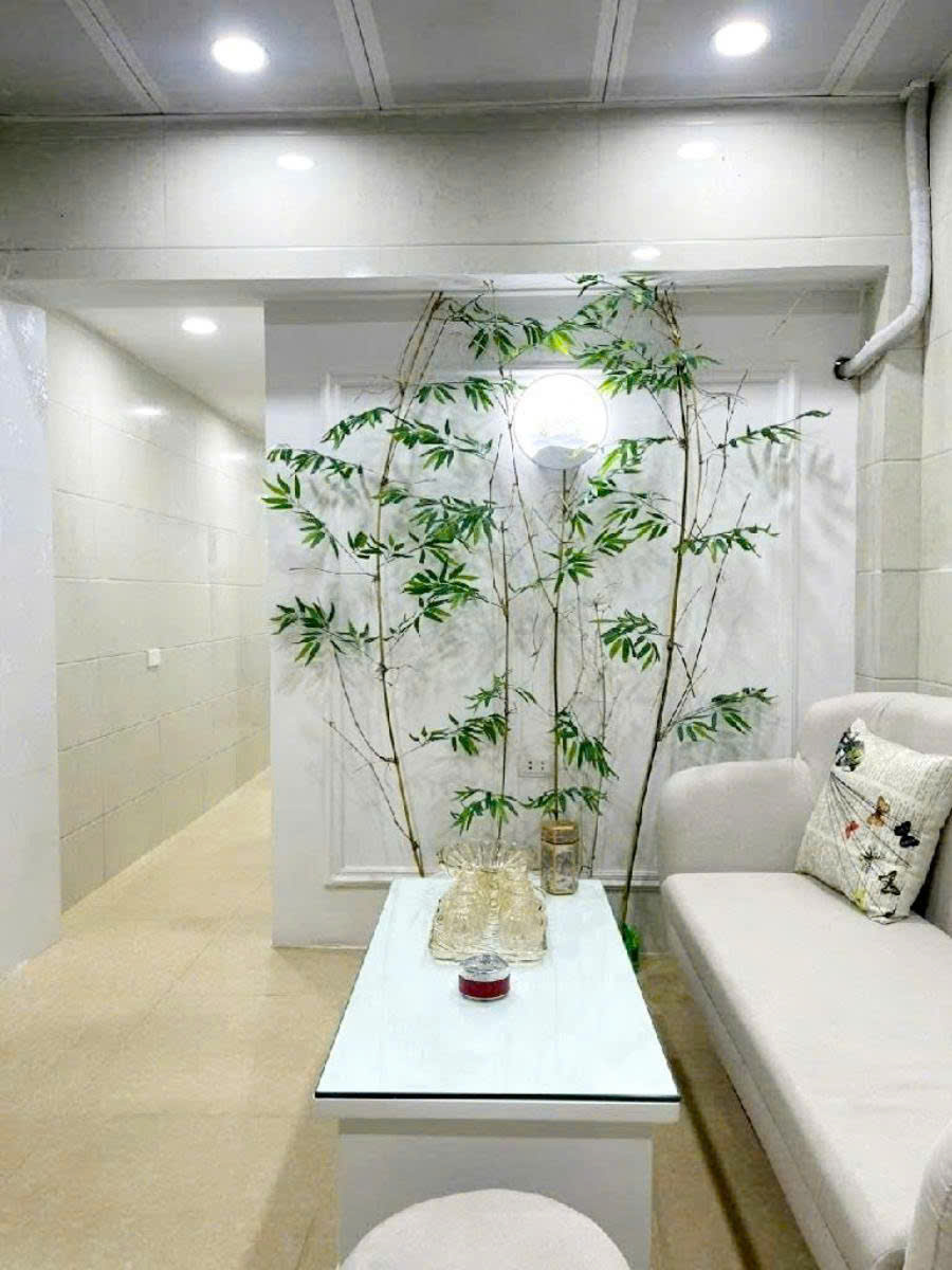 Bùi Ngọc Dương  - Hai Bà Trưng - Hà Nội - Ảnh chính