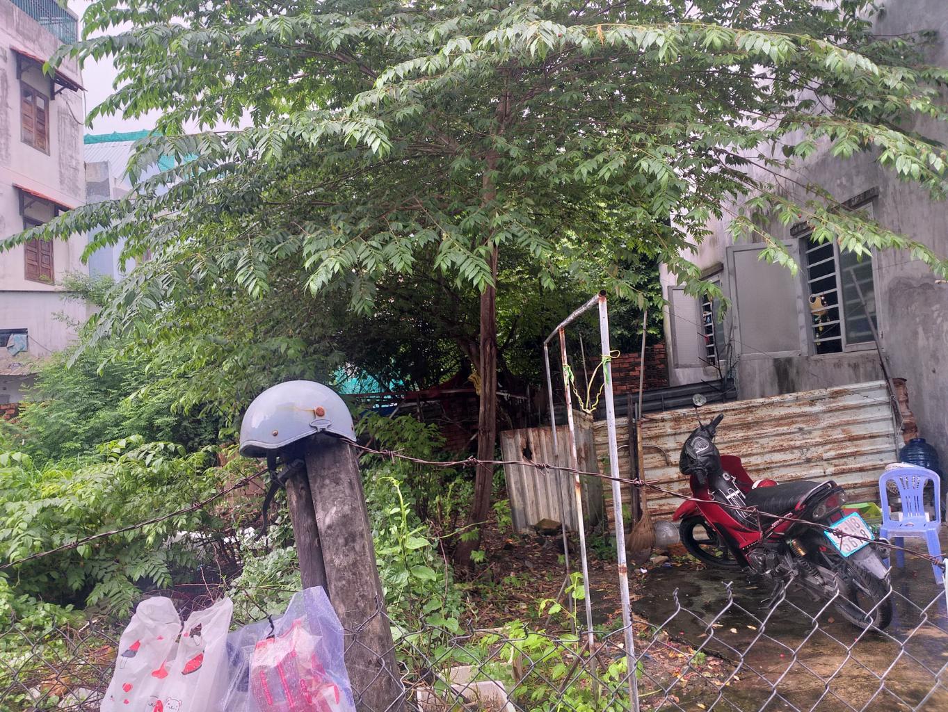 Bán đất Nguyễn Văn Tăng, Long Thạnh Mỹ, Quận 9 , 526m2 , full thổ cư , HXH, Gía chỉ 21 tỷ TL - Ảnh 2