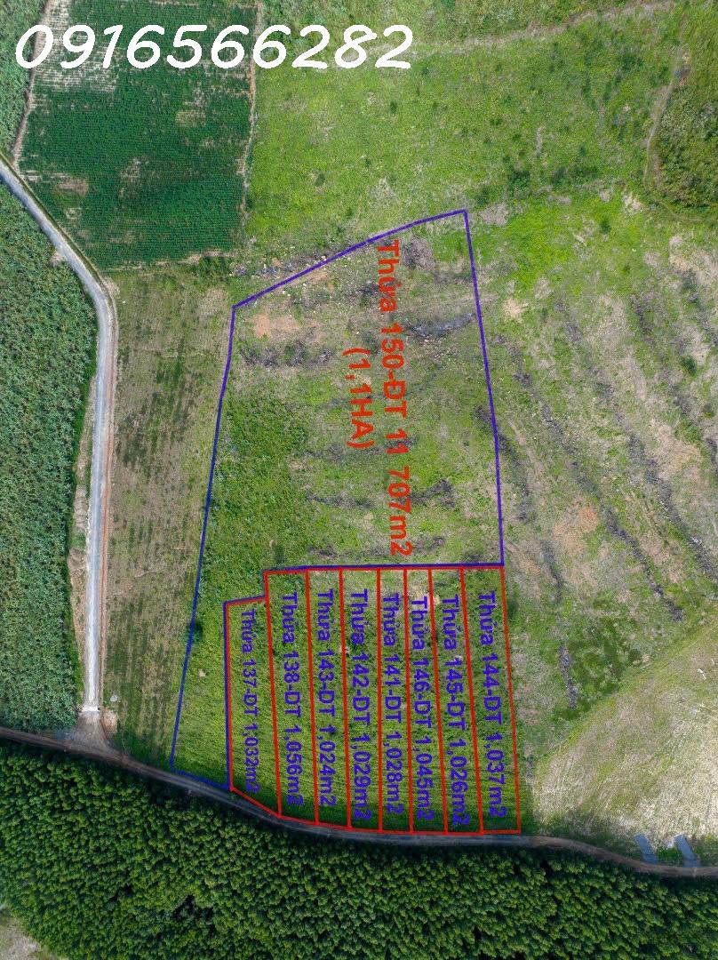 Bán 1031M2 đất Tại Ninh Tây, Ninh Hòa, Khánh Hòa, Giá đầu tư chỉ có 1,546 Tỷ - Ảnh 1