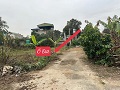 CHÍNH CHỦ BÁN LÔ ĐẤT 166M² TẠI HƯƠNG SƠN – BÌNH XUYÊN – VĨNH PHÚC - Ảnh 4