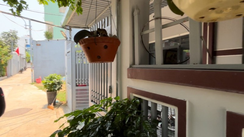 ♣ Nhà Kiệt Ô Tô gần MT Lê Văn Hiến, Bãi Tắm Sơn Thuỷ, 105m2, 3.75 tỷ - Ảnh 2