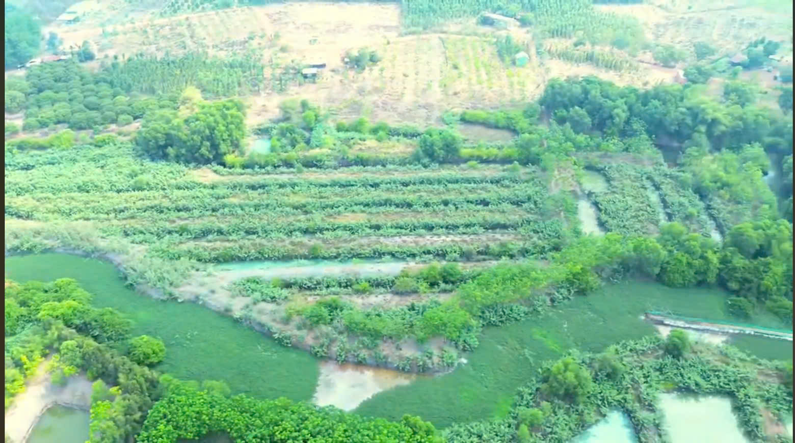 Bán 29.000m2 Đất Tại Ấp 2, Xã Thanh Hòa, Huyện Bù Đốp, Tỉnh Bình Phước. - Ảnh chính