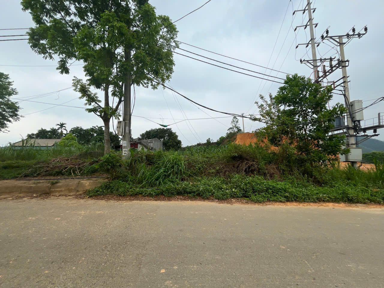 CẦN BÁN ĐẤT Khu Đồng Cốc , Xã Thắng Sơn, Huyện Thanh Sơn, Phú Thọ - Ảnh chính