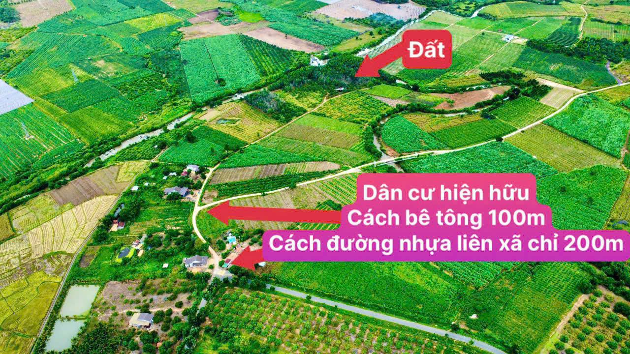 Buôn Đôn- Đắk Lắk dt 3.6ha thực tế 4ha có nhà cấp 4, sẵn nguồn nước, điện, sẵn nguồn thu cao su giá - Ảnh 2