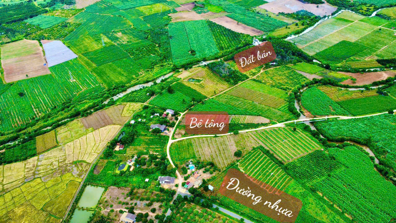 Buôn Đôn- Đắk Lắk dt 3.6ha thực tế 4ha có nhà cấp 4, sẵn nguồn nước, điện, sẵn nguồn thu cao su giá - Ảnh 4