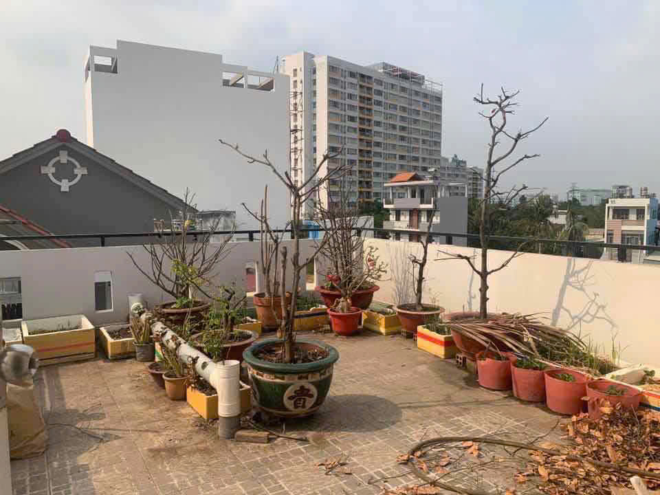 NHÀ ĐẸP ĐƯỜNG NGUYỄN VĂN QUỲ QUẬN 7 – 4 TẦNG – HẺM THÔNG THOÁNG – KDC HIỆN HỮU – 64M² SỔ VUÔNG - Ảnh 5