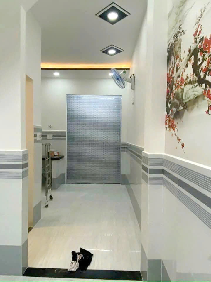 Nhà 4*10m hẻm 1647 Phạm Thế Hiển P4Q8 - Ảnh 2