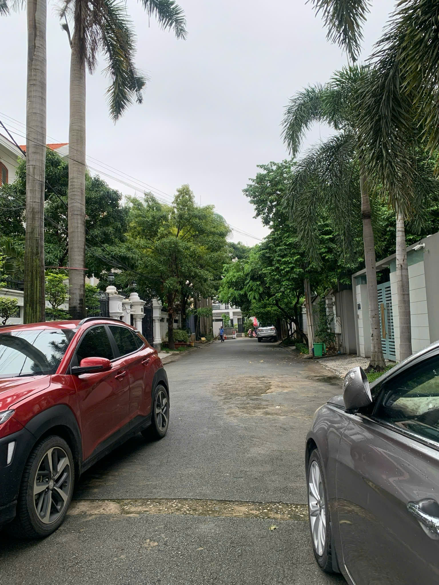 Bán đất thổ cư 260m², Q.2, Giang Văn Minh, an phu quan 2 gia 53 tỷ, sổ đỏ - Ảnh chính