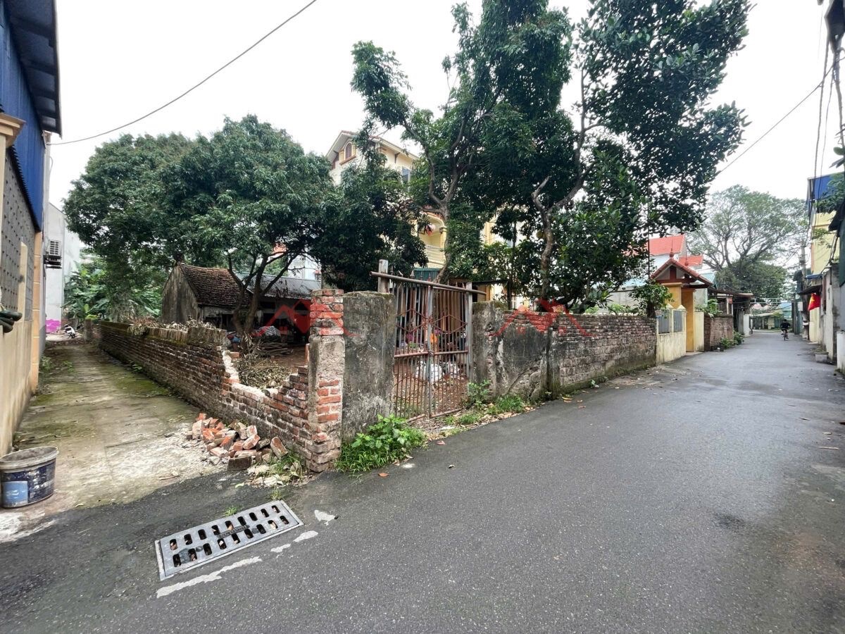 CHÍNH CHỦ BÁN 9 LÔ ĐẤT TẠI BIÊN GIANG-CHƯƠNG MỸ-HÀ NỘI - Ảnh 2