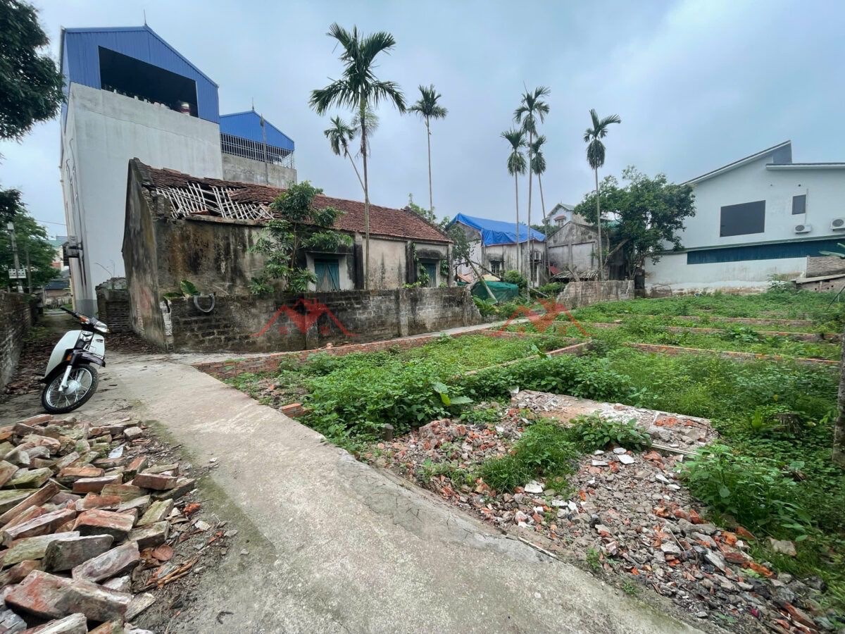 CHÍNH CHỦ BÁN 9 LÔ ĐẤT TẠI BIÊN GIANG-CHƯƠNG MỸ-HÀ NỘI - Ảnh 1