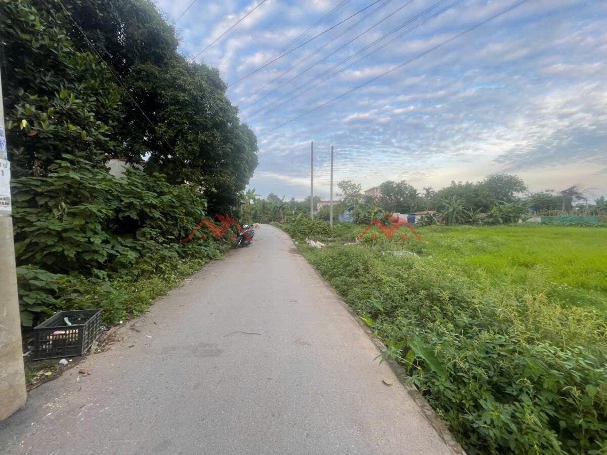 CHÍNH CHỦ BÁN LÔ ĐẤT 57,5M TẠI BIÊN GIANG-HÀ ĐÔNG-HÀ NỘI - Ảnh 2