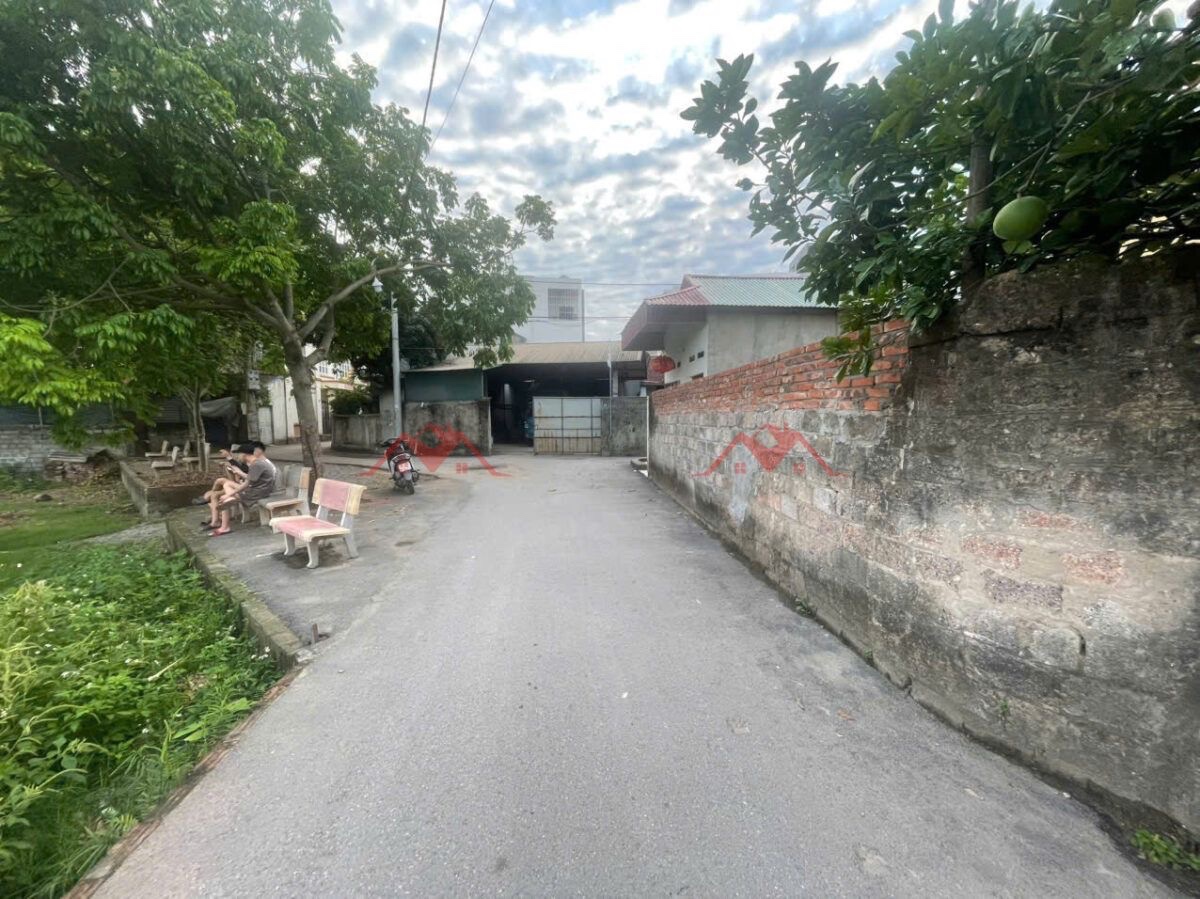 CHÍNH CHỦ BÁN LÔ ĐẤT 57,5M TẠI BIÊN GIANG-HÀ ĐÔNG-HÀ NỘI - Ảnh 1