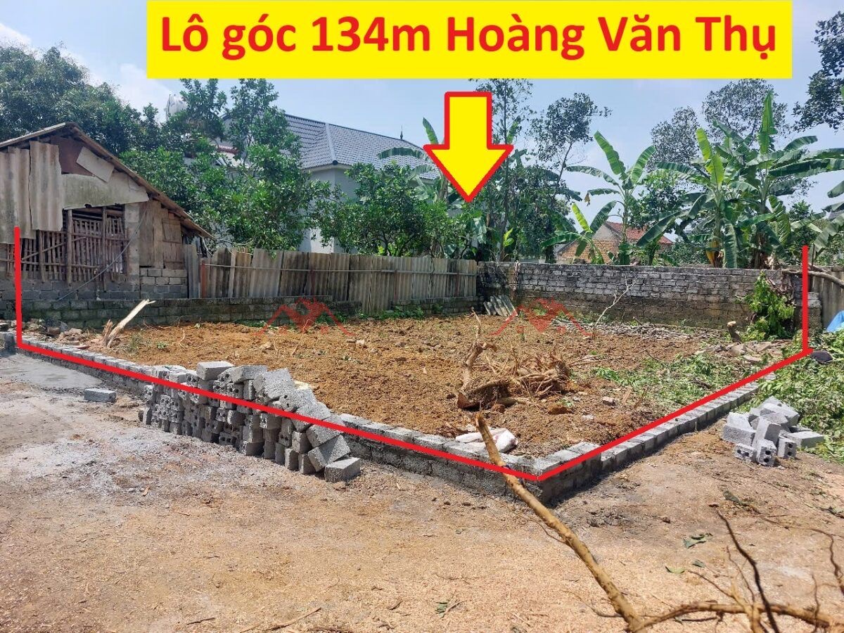 CHÍNH CHỦ BÁN LÔ ĐẤT 134M TẠI HOÀNG VĂN THỤ-CHƯƠNG MỸ-HÀ NỘI - Ảnh chính