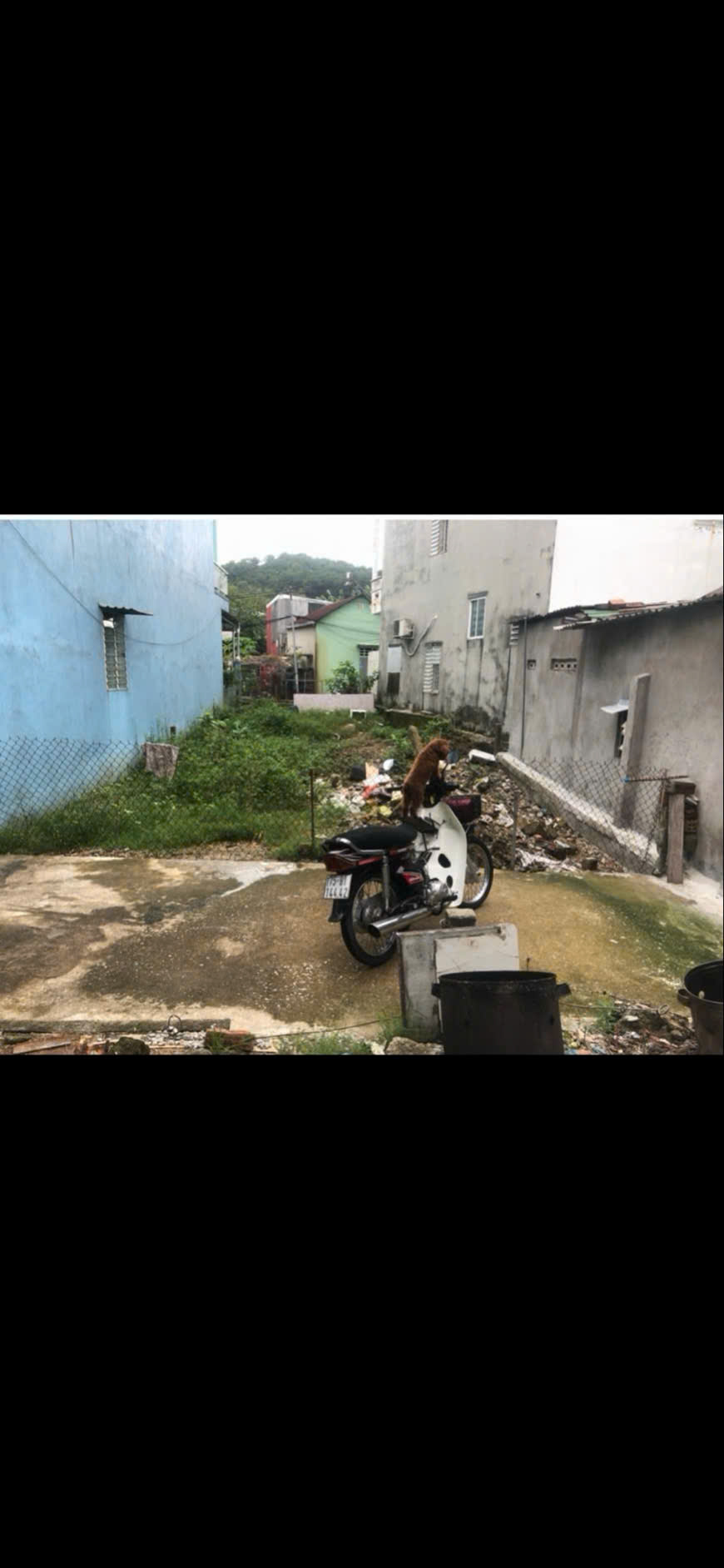 ⚠️ Chỉ 1,6x tỷ. BÁN ĐẤT KIỆT Ô TÔ NGỰ BÌNH, CAO RÁO KO LỤT, GẦN TRUNG TÂM TP HUẾ - Ảnh chính