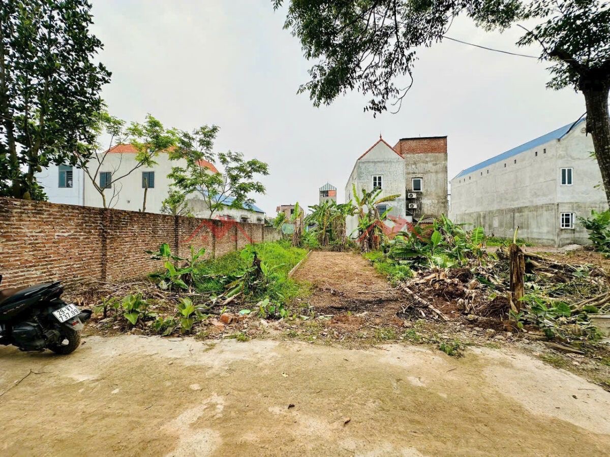 CHÍNH CHỦ BÁN LÔ ĐẤT 77,5M TẠI THỤY HƯƠNG-CHƯƠNG MỸ-HÀ NỘI - Ảnh 1