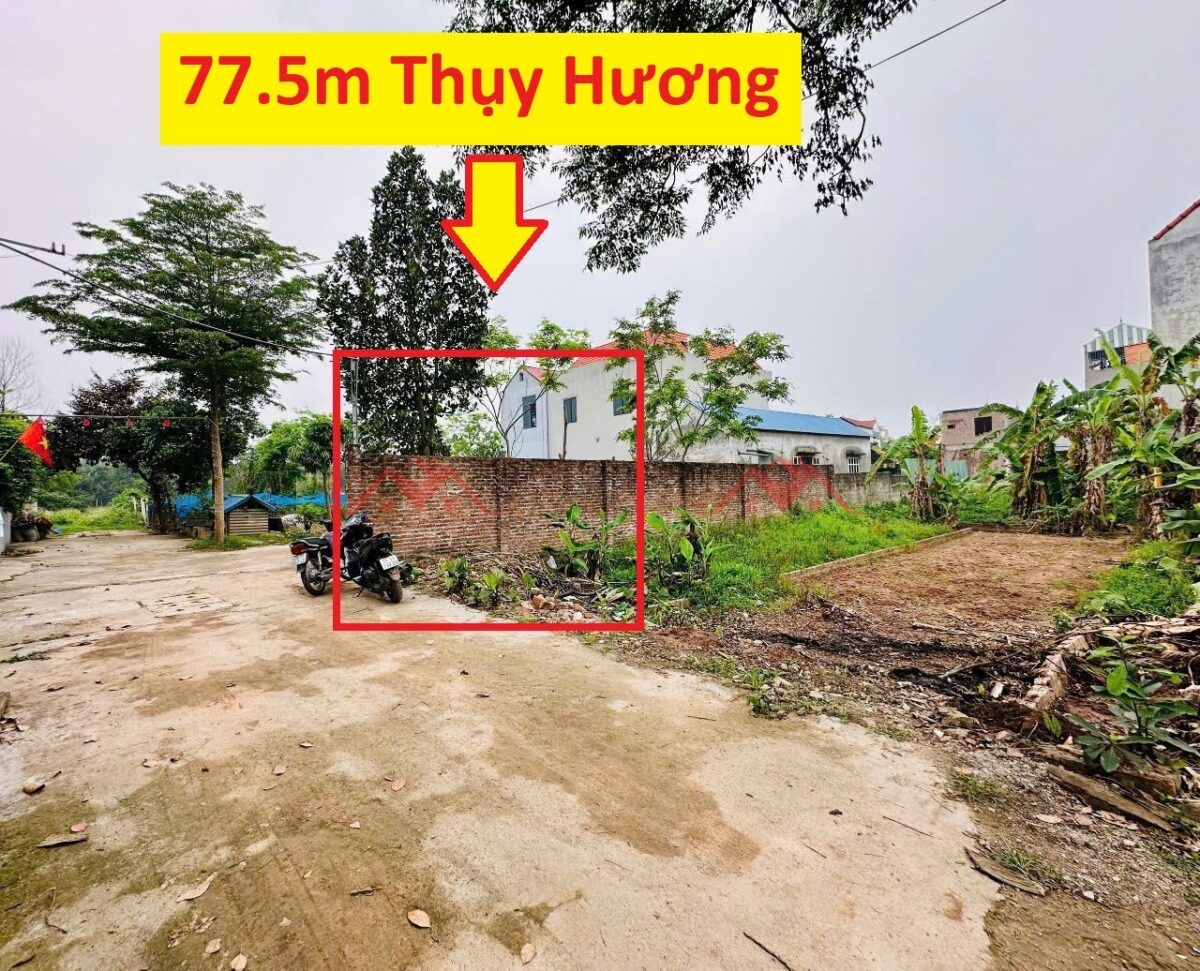 CHÍNH CHỦ BÁN LÔ ĐẤT 77,5M TẠI THỤY HƯƠNG-CHƯƠNG MỸ-HÀ NỘI - Ảnh chính