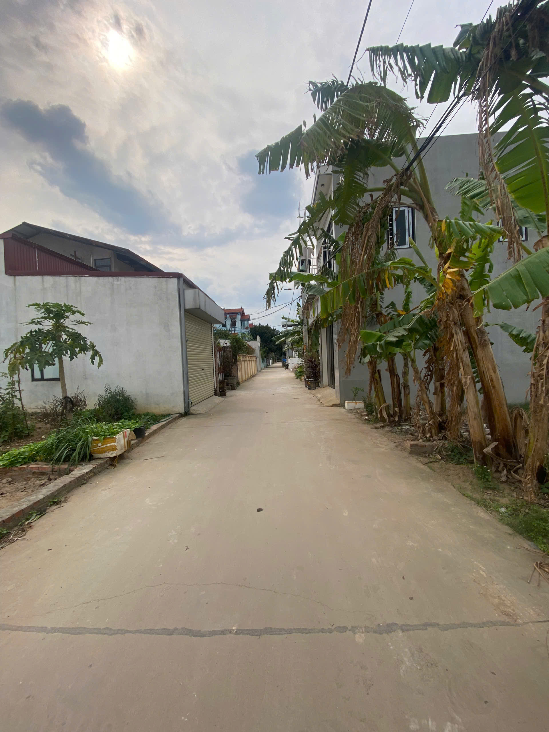 TRỤC CHÍNH TT QUANG MINH 65M GIÁ ĐẦU TƯ,LH CHÍNH CHỦ,GIÁ NHỈNH 3 TỶ - Ảnh 4
