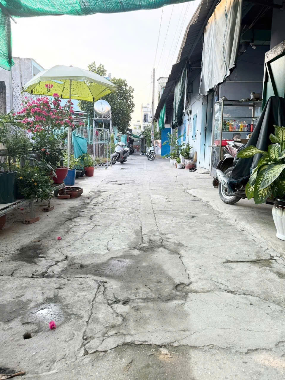 ĐẤT ĐẸP 4X18M, CHỈ NHÌNH 3 TỶ, NGAY SAU CHUNG CƯ THẠNH LỘC Q12 - Ảnh 3