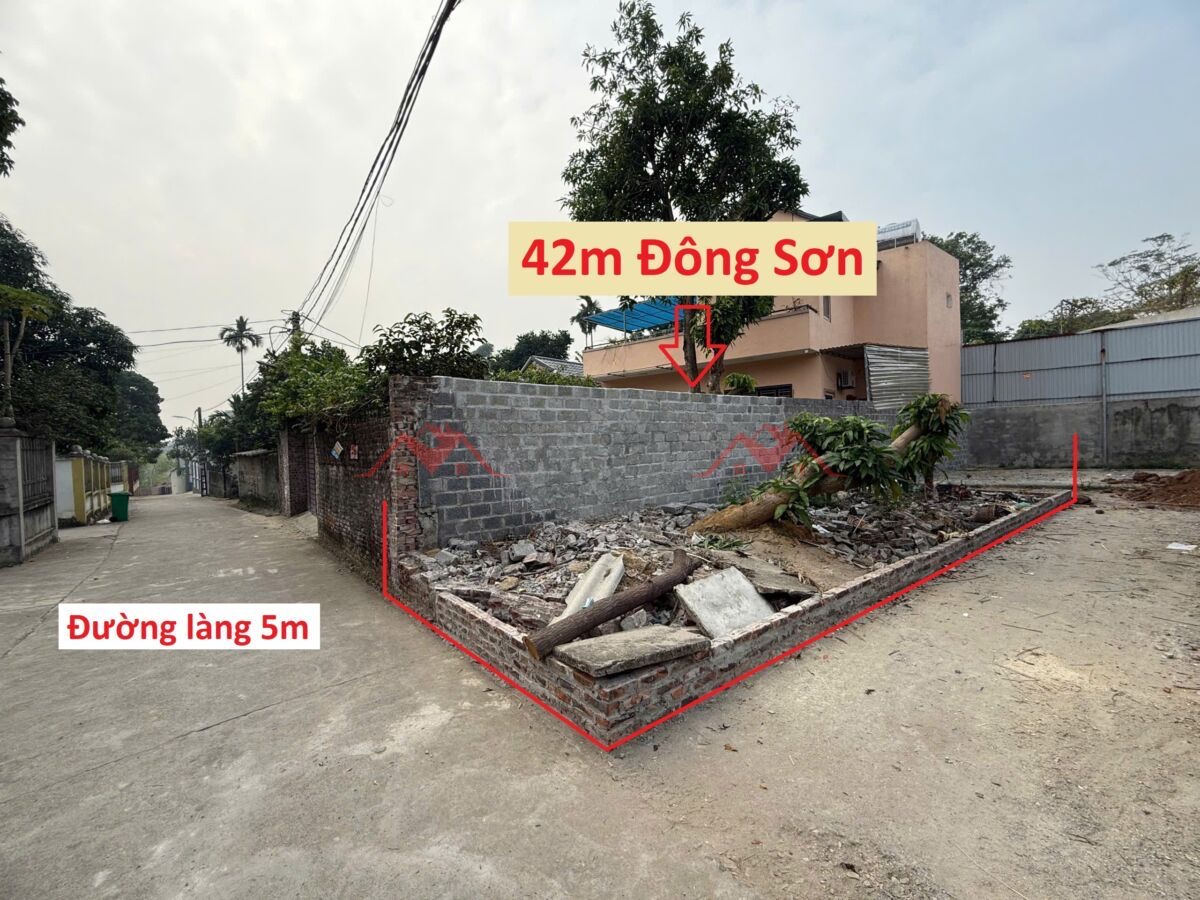 CHÍNH CHỦ BÁN LÔ ĐẤT 42M TẠI ĐÔNG SƠN-CHƯƠNG MỸ-HÀ NỘI - Ảnh chính