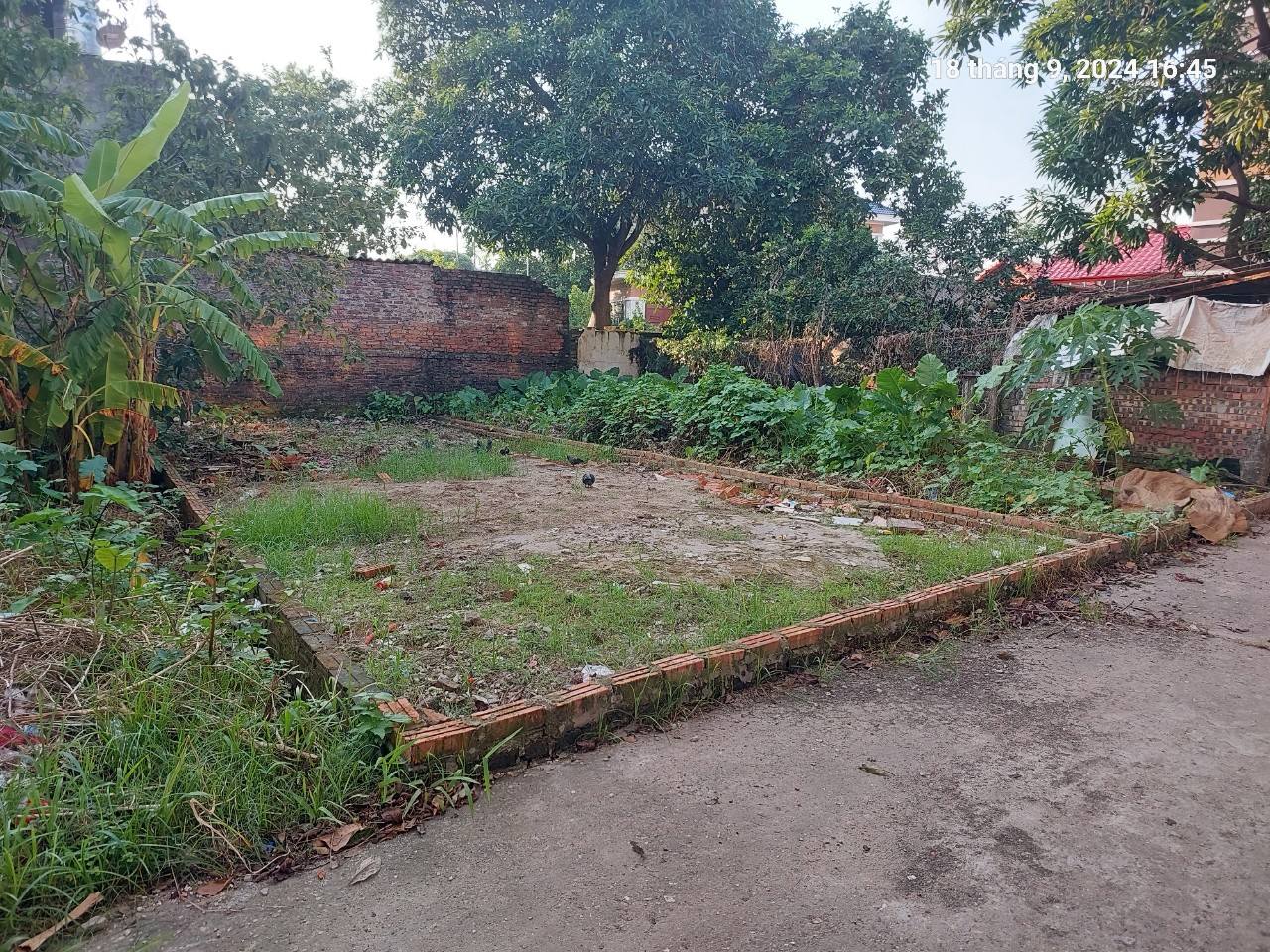 Chủ tìm khách, Tiên Hùng, 79.5m2, mt5m, nở hậu, 4.8 tỷ Đông Anh. Ô tô, gần phố. - Ảnh 2