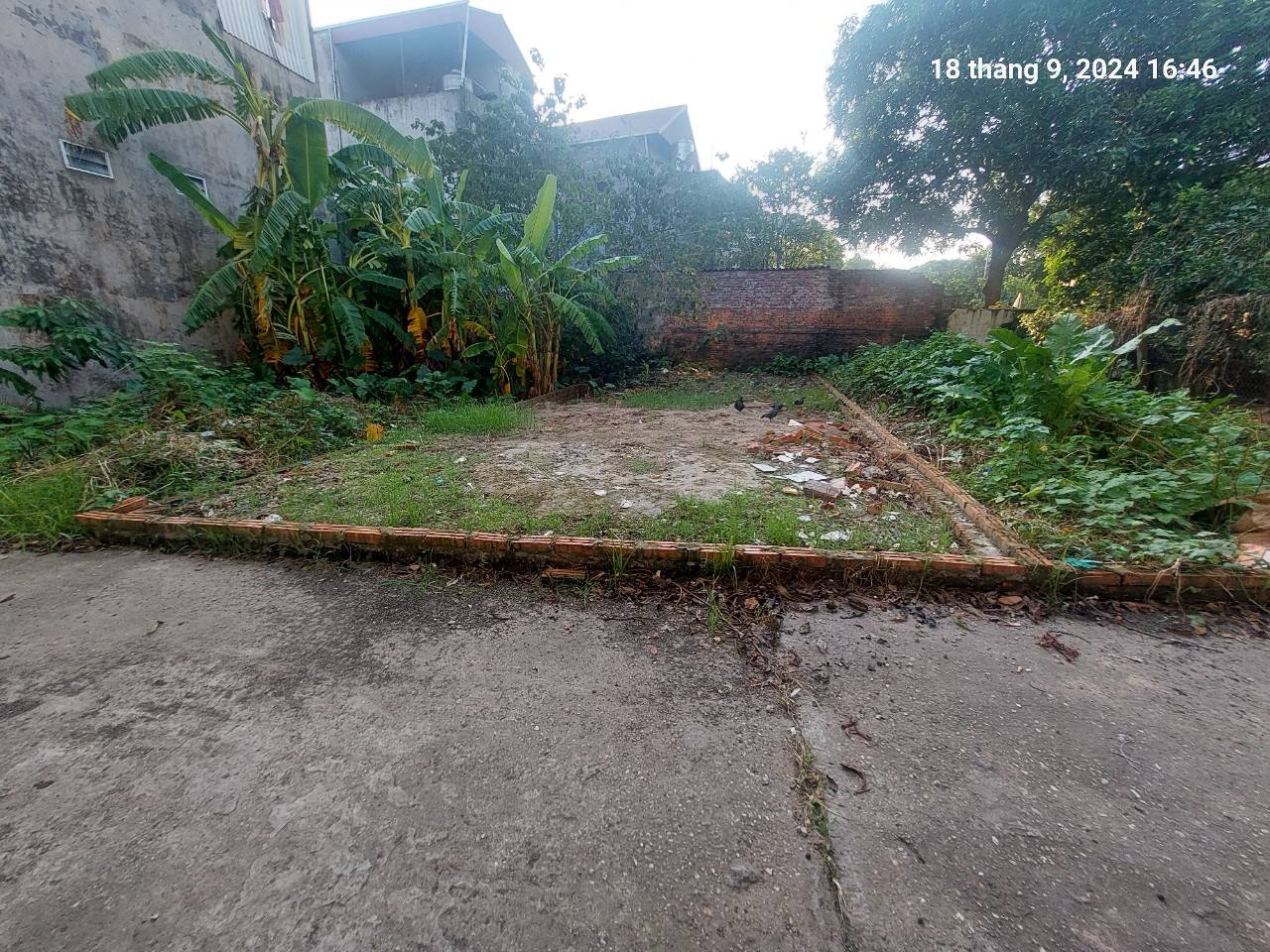 Chủ tìm khách, Tiên Hùng, 79.5m2, mt5m, nở hậu, 4.8 tỷ Đông Anh. Ô tô, gần phố. - Ảnh chính