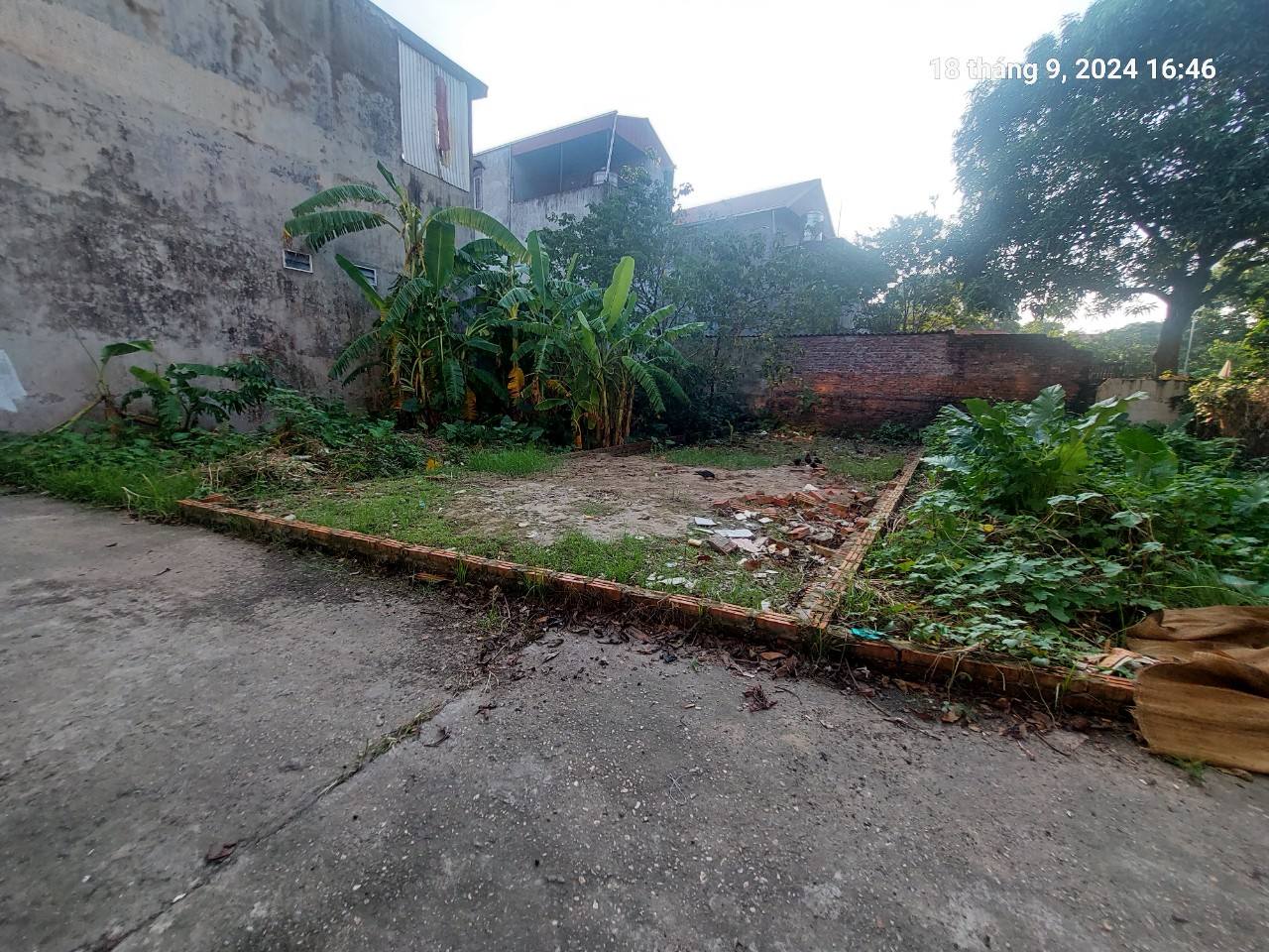Chủ tìm khách, Tiên Hùng, 79.5m2, mt5m, nở hậu, 4.8 tỷ Đông Anh. Ô tô, gần phố. - Ảnh 3