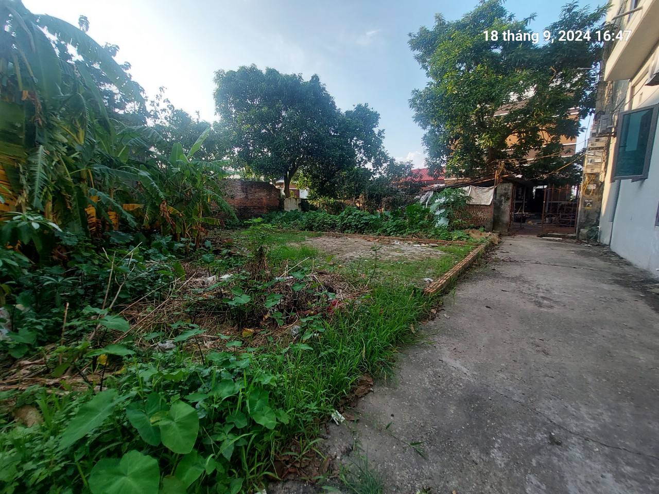 Chủ tìm khách, Tiên Hùng, 79.5m2, mt5m, nở hậu, 4.8 tỷ Đông Anh. Ô tô, gần phố. - Ảnh 4