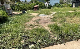 CHÍNH CHỦ BÁN GẤP  LÔ ĐẤT ĐẸP TẠI NINH HẢI – NINH THUẬN - Ảnh chính